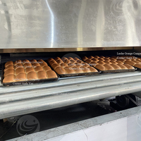 Machines de boulangerie Ceinture de chauffage au gaz à haute température Convoyeur à plaques à chaîne Tunnel de cuisson Four Tunnel Four Ligne de torréfaction