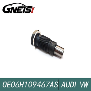 Tensor de Cadena de Distribución para Volkswagen Golf, Touran, Sagitar, Passat, <span class=keywords><strong>AUDI</strong></span> Q5, A4, <span class=keywords><strong>Q3</strong></span>, A3 06H109467AS 06H109467AF - Product Image 2