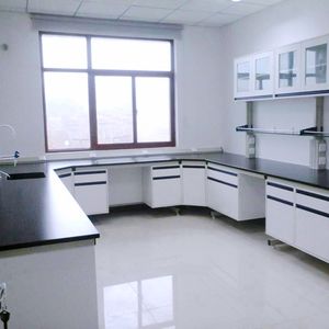 Mesa de Laboratorio de Acero de Alta Calidad con Estructura en C/H/O/Z, Mesa de Trabajo Comercial para Laboratorio con Fregadero - Product Image 3