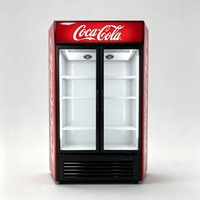 Refrigerador Vertical para Bebidas, Refrigerador Exhibidor, Equipo de Refrigeración Comercial, Refrigerador de Exhibición