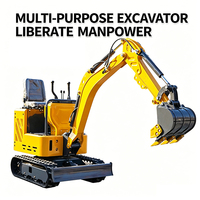 Mini-excavatrice 0,025-0,6 m³, modèles 08-135, profondeur de creusement 1300-5095 mm pour vergers et serres