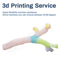 Service d'impression 3D couleur Stratasys PolyJet – Modèle médical personnalisé en matériaux mixtes pour la chirurgie orthopédique pulmonaire