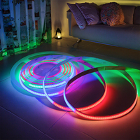Tira de Luces LED RGBIC Inteligente Programable, 12V/24V, 10mm, USB, IP33, Garantía de 5 Años, Iluminación Flexible RGB Direccionable para Fiestas