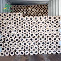 Rouleau de papier traceur, 1 pièce 60gsm 70gsm, pour l'usine de vêtements