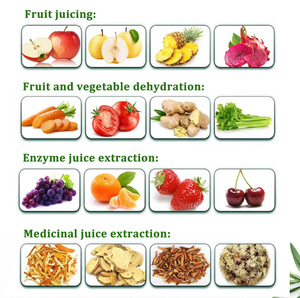 Leche de coco Tomate Pulper Finisher Fruit Seed Destonings y Pulp Separación Jugo Process Extactores Machine - Product Image 3