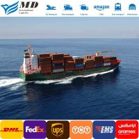 Agent maritime de la Chine depuis Shenzhen expédition de Chypre (CY) Égypte (EG) Irak (IQ) Israël (IL) (OM) service DDP Qata par mer
