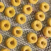 Huismerk 12-laags roestvrijstalen sinaasappel- en citroendroger, kleine commerciële fruitdroger