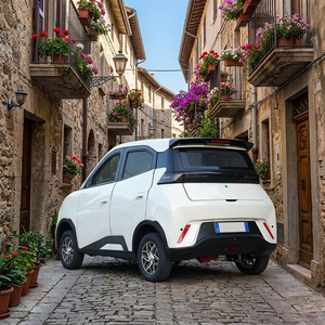 Klimatisiertes, geräuscharmes Elektroauto mit max. 45 km/h, anpassbaren Farben, 4-Rad-Scheibenbremsen und hoher Ausstattung für die Lieferservice in Dörfern - Product Image 2