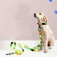 Collier lumineux LED pour chien de petite taille, haute visibilité, imperméable, réglable, clignotant et lumineux