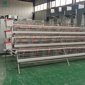 Conception moderne la plus populaire ferme de volailles de poulet de l'Ouganda 10000 5000 cages de poules pondeuses de poules pondeuses - Product Image 2