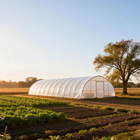 Serre commerciale à grande portée en film plastique avec structure en acier galvanisé stabilisé aux UV pour la culture de légumes et de fleurs
