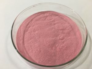 Estratto di ciliegia Acerola estratto di ciliegia di Acerola biologico in polvere di vitamina C 17% 25% - Product Image 4