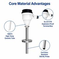 Sonde de température industrielle TM20 Pt100 RTD et capteur thermocouple de type K, longueur de sonde personnalisable pour le contrôle de processus
