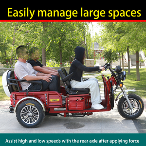 Triciclo de Gasolina con Velocidad Variable Continua, Motocicleta de Carga y Pasajeros para Ancianos, Vehículo de Transporte para Discapacitados - Product Image 5