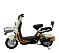 Vélo Électrique 1000W pour Adultes, Quad 2000W, Phares 2022, pour Femmes, 28 Pouces, Remorque Pédicab, 40Km/H, Meilleure Vente