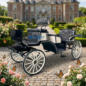 Chariot de luxe moderne pour chevaux, véhicule électrique royal, nouveau style, chariot de mariage, chariot touristique pour chevaux à vendre - Product Image 1