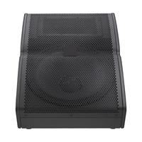 TX1122FM Enceinte de monitoring au sol passive 12 pouces, moniteur de sol vertical bidirectionnel dédié