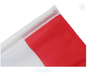 Football Customizable 2026 Country Flag Double-Sided Polyester All Soccer Team Window Car Flag Digital Printing Event - Product Image 2