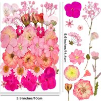 Fleurs pressées mélangées de roses roses, d'hortensias, de delphiniums et de gypsophiles pour la résine époxy, les bijoux, les coques de téléphone et les projets DIY