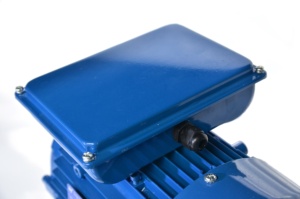 Motor YL Monofásico Universal de 3KW 220v, 2800rpm - Product Image 4