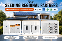 200A BMS, 10kWh 16kWh 314Ah Baterai ESS Rumah Tangga LiFePO4 Sel Grade A+, 10000+ Siklus, Fungsi WiFi & Penyeimbangan Aktif