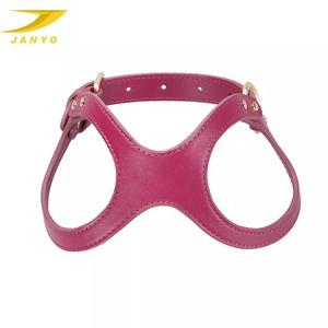 Arnés de seguridad respetuoso con el medio ambiente para perro, cinturón de collar de alta calidad - Product Image 1