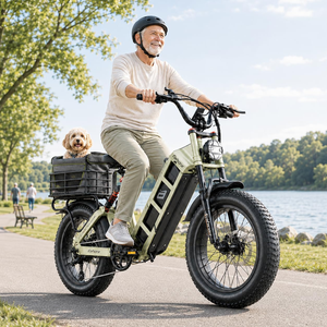 จักรยานไฟฟ้า eAhora Juliet รุ่น Fat Bike 48v 48V 60AH พร้อมส่งจากคลังสินค้า ราคาถูก จักรยานไฟฟ้าเสือภูเขา - Product Image 3