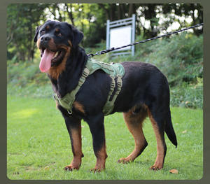 Venta al por mayor <span class=keywords><strong>de</strong></span> fábrica, chaleco táctico para mascotas, abrigo para perros, arnés y correas para perros para entrenamiento <span class=keywords><strong>de</strong></span> mascotas al aire libre - Product Image 4