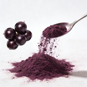 Poudre de fruit d'açaï naturelle lyophilisée de qualité alimentaire à marque privée, extrait d'herbes, emballée sous vide en bouteille ou en fût (OEM/ODM) - Product Image 1