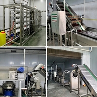 Chaîne de production complète de confiture Mayboom : Machine à confiture de dattes et ligne de traitement de confiture de fruits à vendre