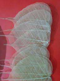 Feuilles de sécium séchées de qualité supérieure pour la décoration de mariage, la fête des pères, Halloween, la maison, le bureau, fleurs séchées - Product Image 5