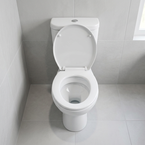 WC commercial deux pièces avec siège et raccords LLC – Ensemble WC complet - Product Image 1