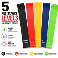 Banda de Resistencia Ajustable con Asas para Entrenamiento de Cuerpo Completo, Bandas de Resistencia con Logotipo Personalizado