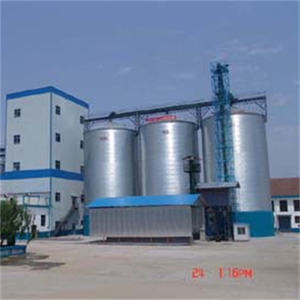 ODM TCK ไซโล<span class=keywords><strong>ข้าว</strong></span>ชุบสังกะสีแบบจุ่มร้อนก้นแบนสำหรับฟาร์ม<span class=keywords><strong>ห</strong></span>มูความจุ1000-15000ตัน ISO9001ผ่านการรับรอง CE - Product Image 3