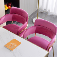 Chaise de salle à manger en métal de luxe légère pour hôtel coiffeuse de salon de manucure commerciale club usage domestique Internet favori des célébrités