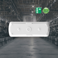 Lampe de secours étanche IP65 en plastique à LED rechargeable Ni-Cd, blanc froid, 6000K, autonomie 3H, garantie 2 ans
