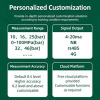 Transmetteur de pression industriel sans fil 4G/NB-IoT MQTT, intrinsèquement sûr, anti-explosion, IP68, pour une mesure en temps réel