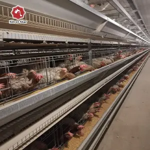 China stellt Hühnerstall für Legehennen und billige Eier schicht Henne Huhn Batterie käfige Preise her