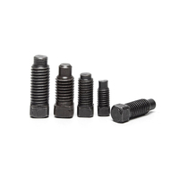 18-8 acier inoxydable A193 A914 B8 A453 A286 INOX SS AISI 304 316 316L A2 A4 70 80 vis de réglage carrées avec pointe de chien DIN479
