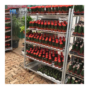 <span class=keywords><strong>Chariot</strong></span> à Champignons, Serre Horticole Danoise, Transport de Serre, <span class=keywords><strong>Chariot</strong></span> à Plantes Néerlandais - Product Image 6