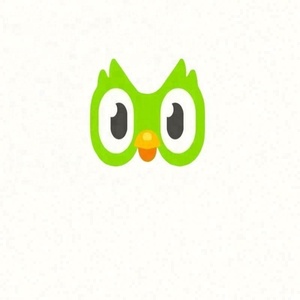 <span class=keywords><strong>Compte</strong></span> Premium Duolingo Pro <span class=keywords><strong>Edu</strong></span> 1 an Applicable dans le monde entier Activez votre propre <span class=keywords><strong>compte</strong></span> - Product Image 2
