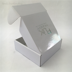 Blanco troquelado de papel corrugado cartón tuck en el lado aletas envío correo caja de correo con plata de papel de impresión - Product Image 4