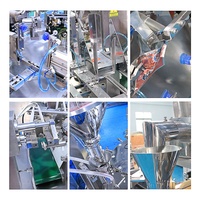 Machine d'emballage automatique de remplissage d'épices de sac à fermeture éclair en Mylar Machine d'emballage d'épices d'assaisonnement de caroube cannelle en poudre de protéines Doypack
