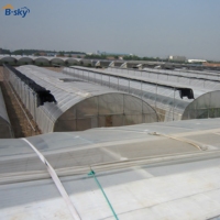 Serre tunnel en PE à simple travée pour la production de légumes au Moyen-Orient, avec un rendement élevé et une agriculture économe en eau