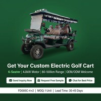 Carrito de Golf Eléctrico de 6 Plazas, Homologado para Circular por la Calle, con Motor de CA de 4.0kW, Batería de Litio de 72V 120ah, para Campos de Golf