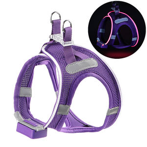 Kasa Logo kustom tipe-c dapat diisi ulang rompi hewan peliharaan Led dapat bernafas <span class=keywords><strong>Harness</strong></span> anjing untuk anjing kecil dan <span class=keywords><strong>Mini</strong></span> - Product Image 1