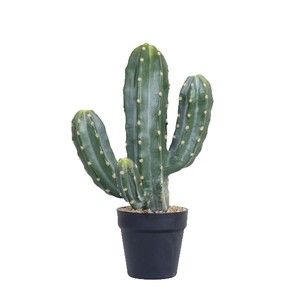 Cactus Artificial Dream Castle, Bonsái de 10cm-30cm, Plástico PU, Decoración Nórdica para el Hogar - Product Image 4