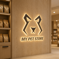 Lettres lumineuses LED personnalisées pour entreprises, livraison rapide, enseignes 3D illuminées, étanches IP65, multicolores, éclairage extérieur pour magasins