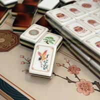 Tuiles de Mahjong en Acrylique de Luxe Vintage Dynasty, Mahjong Américain avec Design Dos Écaille de Tortue et Tapis de Jeu Imprimé Phénix Élégant