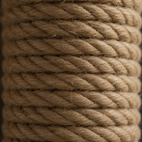 Griffoir cylindrique pour chat Kate Paradise C avec fenêtre de vue et balcon supérieur 46x41x10cm en bois massif, sisal naturel, écologique